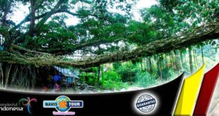 Jembatan Aka di Painan Pesisir Selatan